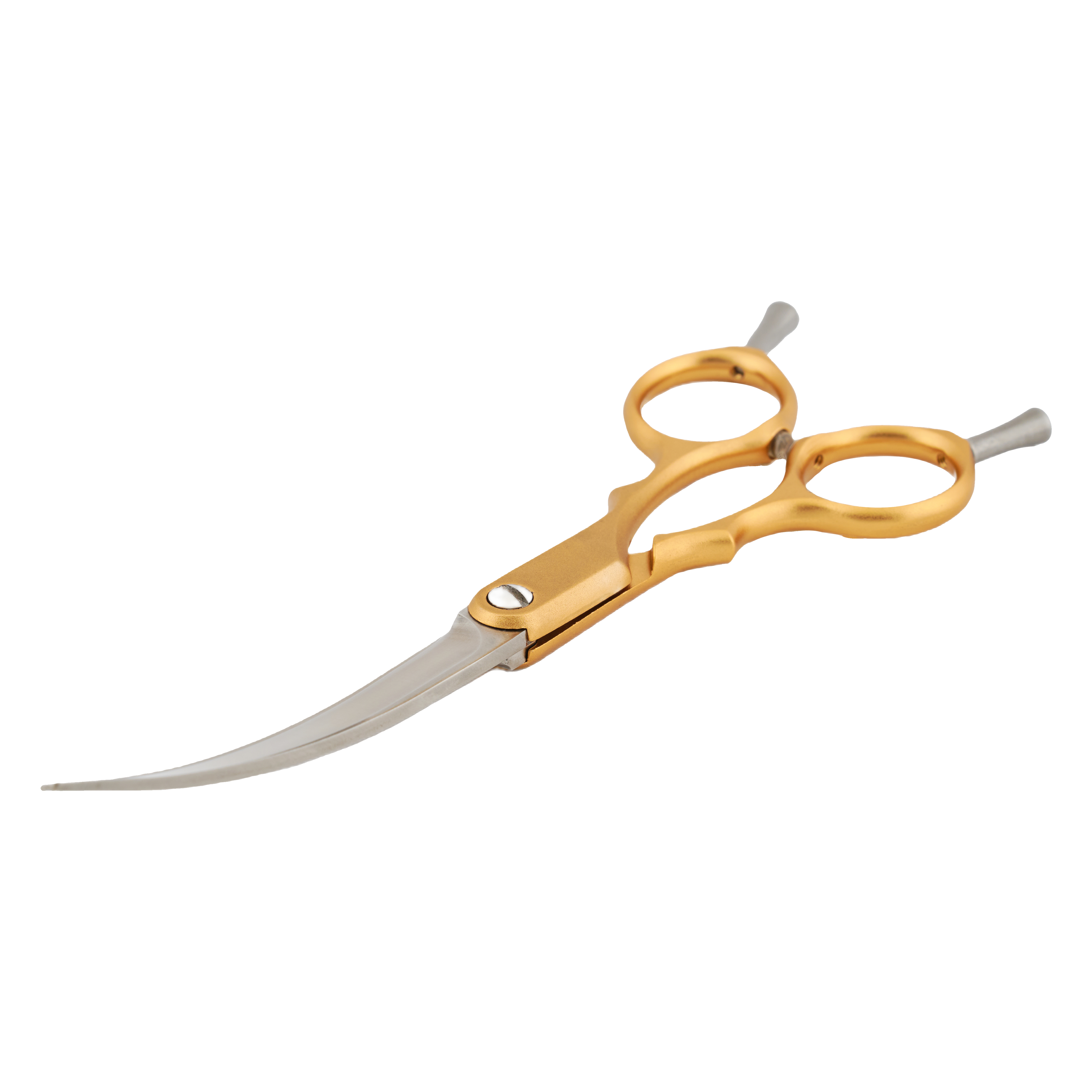 SHOWLINE 6.5 INCH CURVE